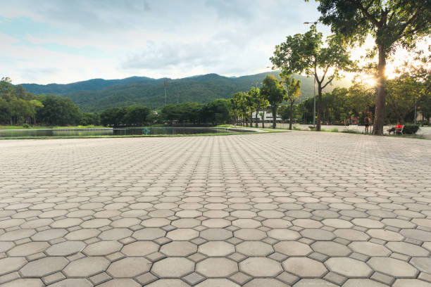Best Professional Driveway Pavers  in King City, CA